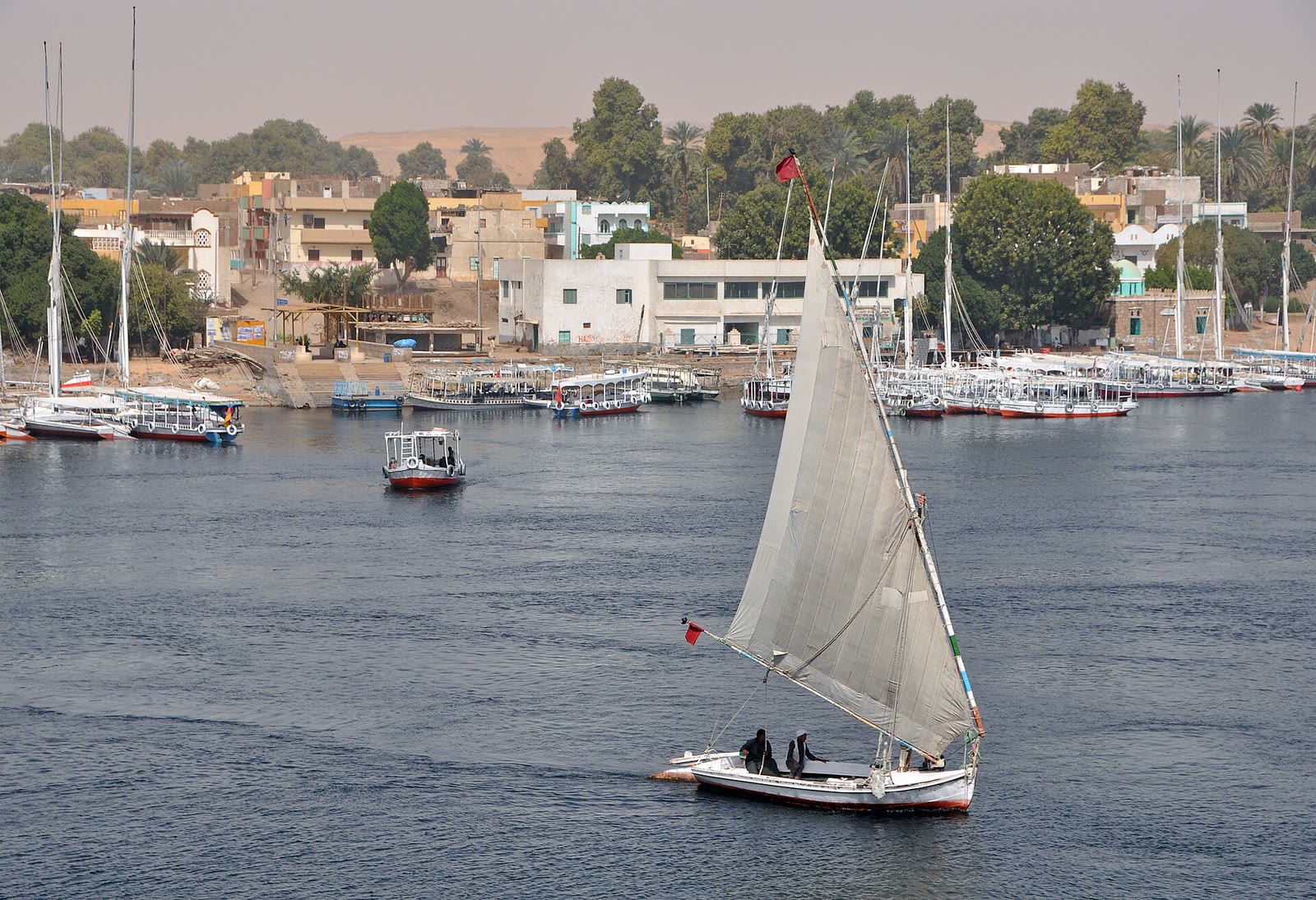 Feluccas sailing on the Nile at Aswan beside Elephantine Island